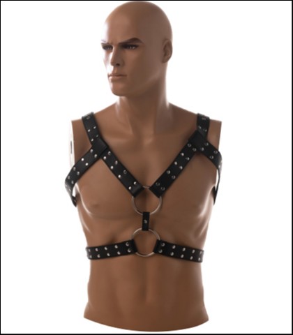 Muski seksi harness