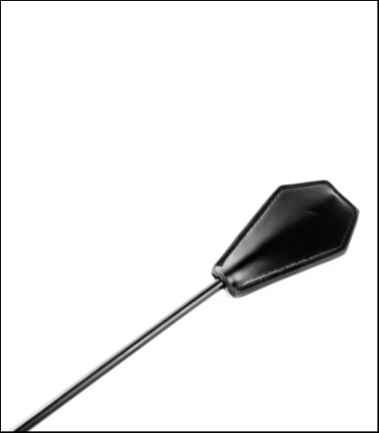 Bic i golicaljka crop and feather tickler