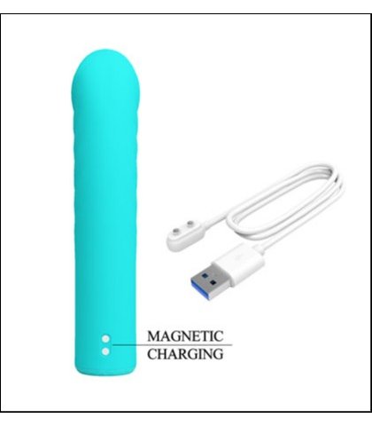 Mini vibrator - rylan