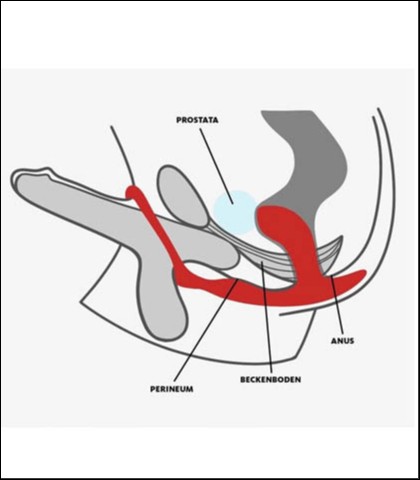 Fun factory bootie ring