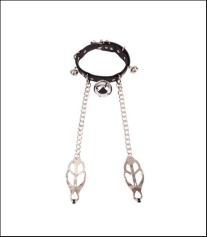 Ogrlica i stipaljke za bradavice master control collar