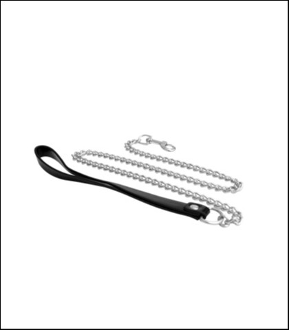 Povodac sa srebrnim lancem