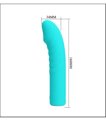 Mini vibrator - rylan