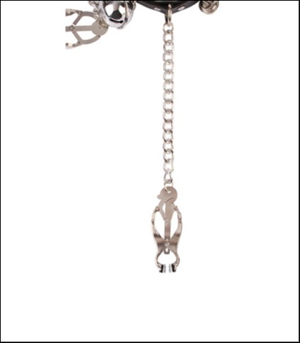 Ogrlica i stipaljke za bradavice master control collar