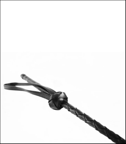 Bic devil fork black