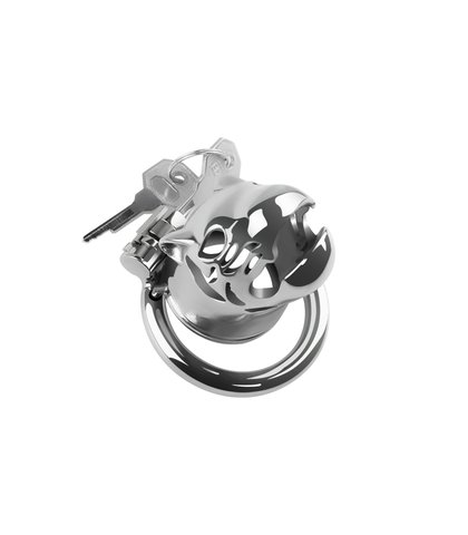 Kavez za penis od nerdjajuceg celika 3 prstena